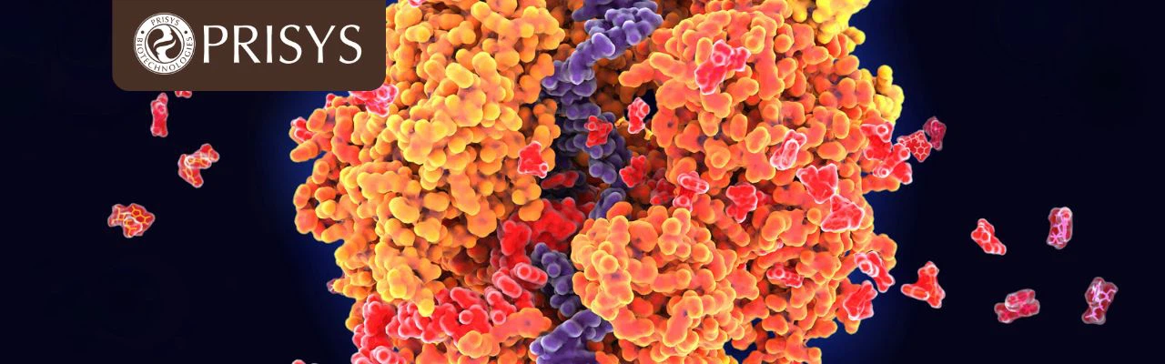 Lipid Nanoparticles For Gene Therapy Prisys Biotech Lipid Nanoparticles For Gene Therapy Prisys Biotech