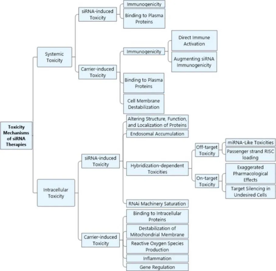 SiRNA-Prisys-Biotech SiRNA-Prisys-Biotech