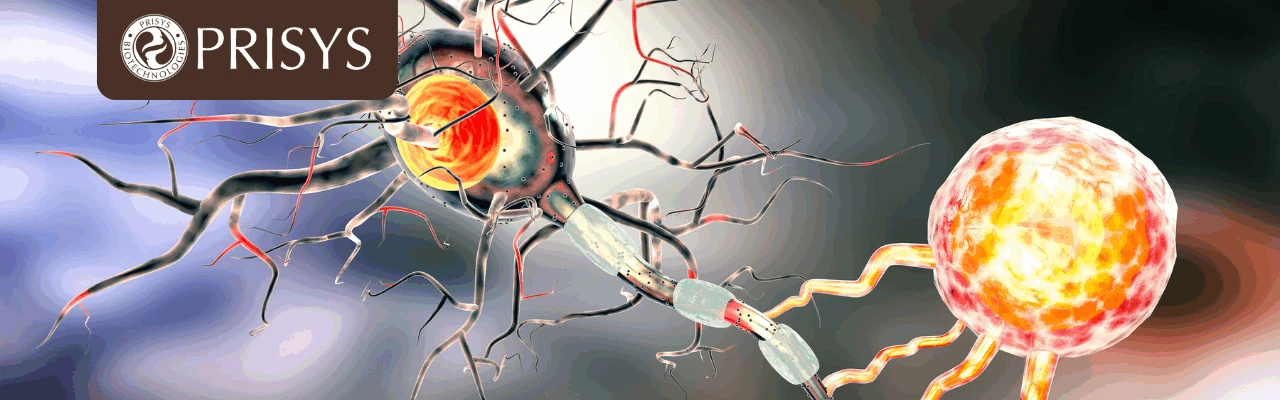 DMPK Evaluation of Central Nervous System CNS Drugs2 1 DMPK Evaluation of Central Nervous System CNS Drugs2 1