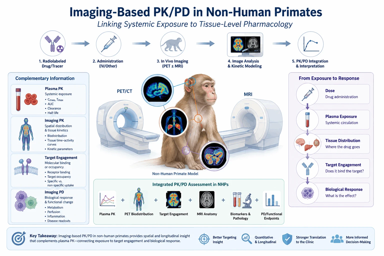 Imaging-Based PKPD in NHPs Imaging-Based PKPD in NHPs