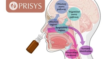 Innovative Nasal-to-Brain (N2B) Drug Delivery: Bypassing The Blood-Brain Barrier