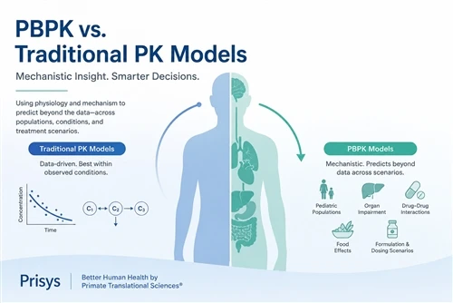 PBPK Vs. Compartmental Models: Why PBPK Matters