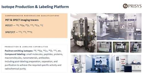 Webinar Recap: Molecular Imaging in NHP Models For Translational Drug Develop...