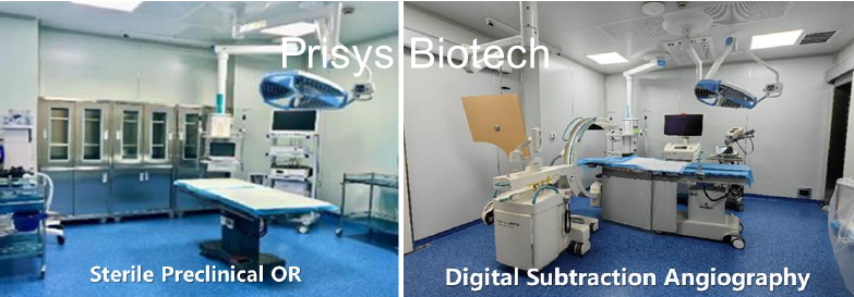 Prisys Hybrid Surgery Center for complicated procedures Prisys Hybrid Surgery Center for complicated procedures