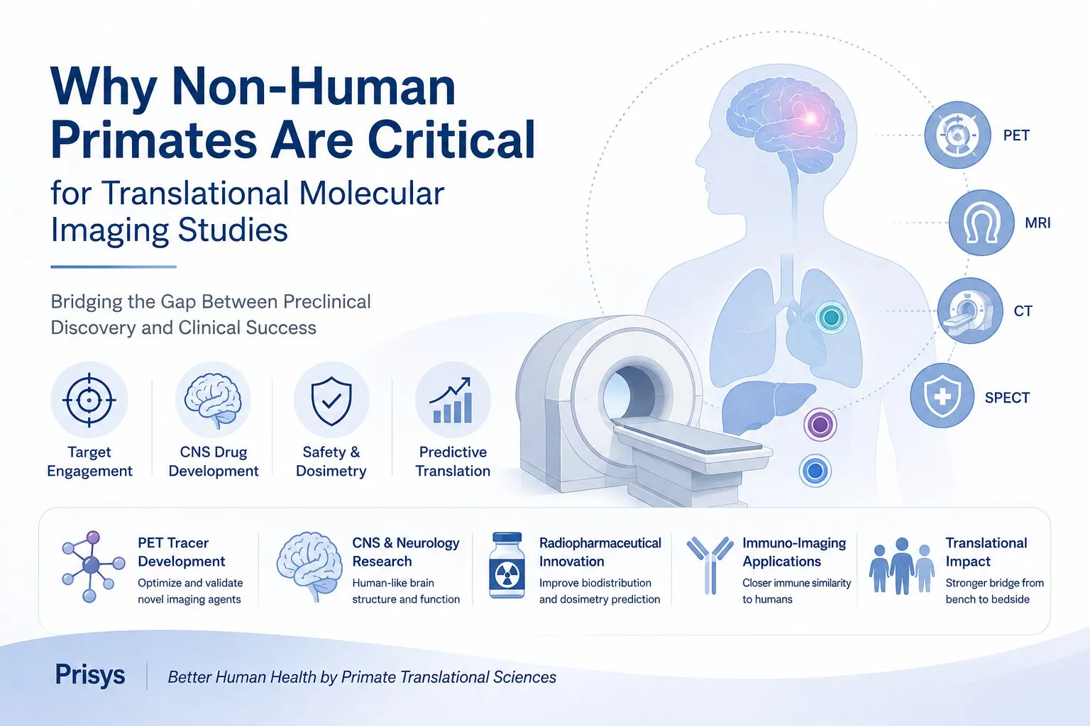 Why NHP Molecular Imaging Is Critical for Translational PET Studies Why NHP Molecular Imaging Is Critical for Translational PET Studies