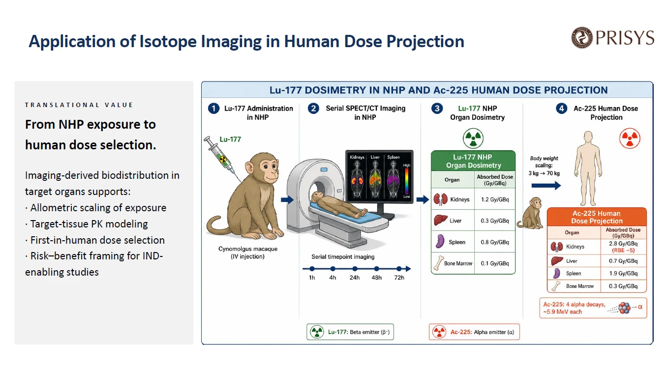 Application of Isotope Imaging in Human Dose Projection