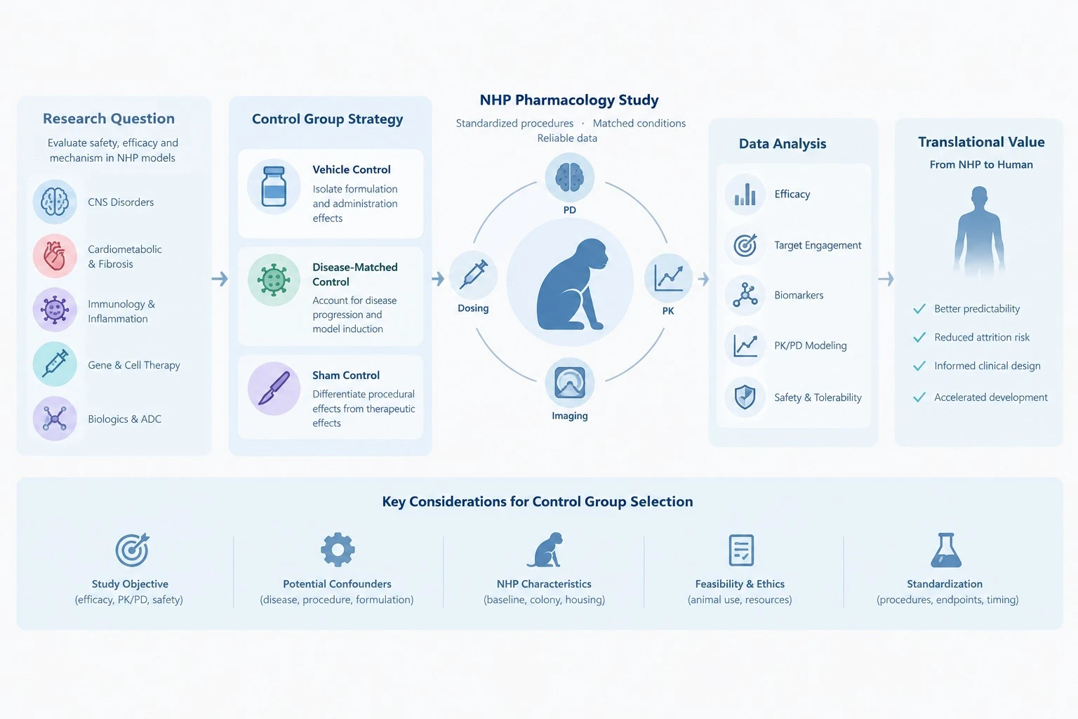 NHP Pharmacology Study Workflow NHP Pharmacology Study Workflow