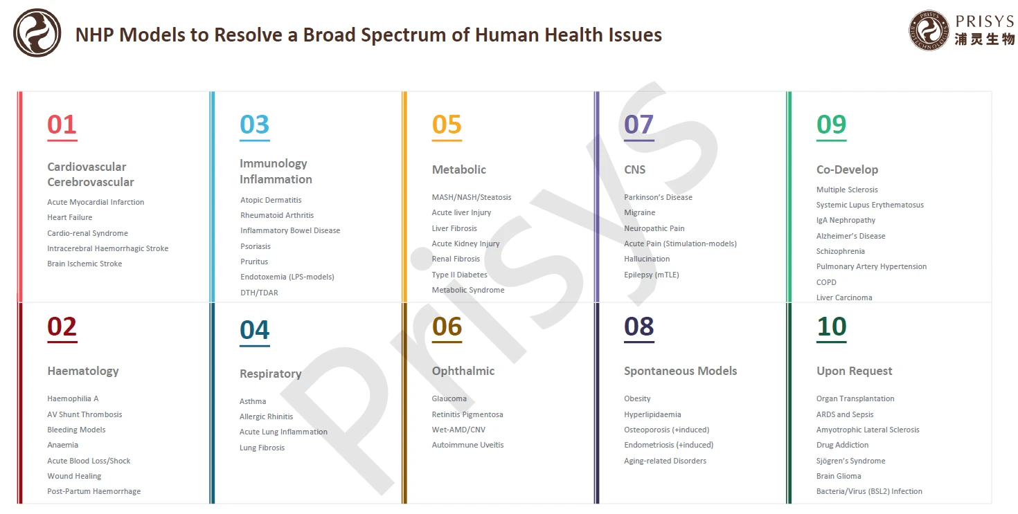 NHP Models to Resolve a Broad Spectrum of Human Health Issues NHP Models to Resolve a Broad Spectrum of Human Health Issues